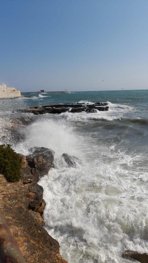 Il Vecchio Carrubo - Villa Con Piscina A Sfioro Macchia di Monte المظهر الخارجي الصورة