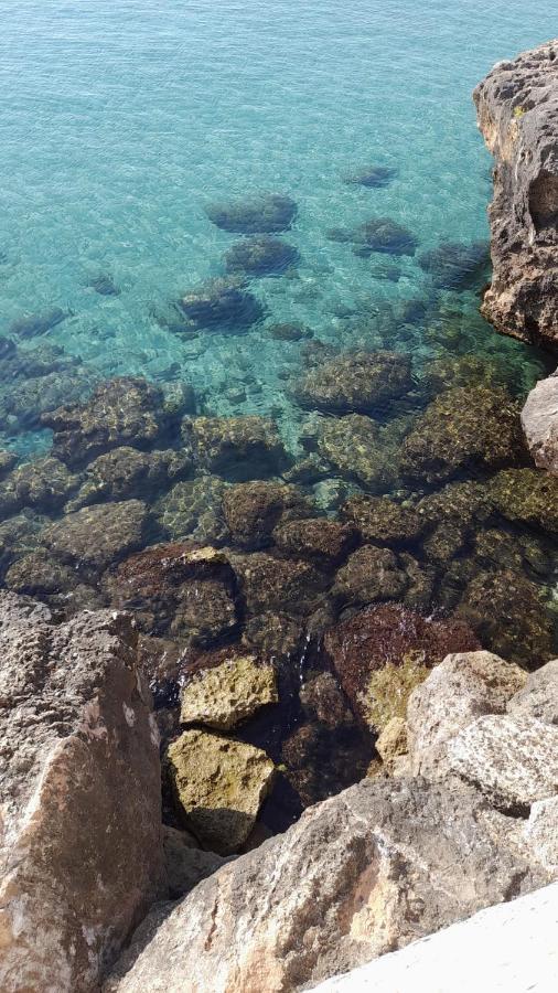 Il Vecchio Carrubo - Villa Con Piscina A Sfioro Macchia di Monte المظهر الخارجي الصورة